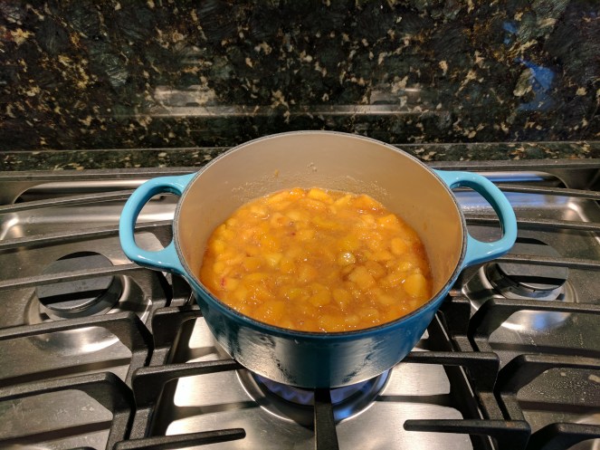 IMG_20170528_132912 - Copy