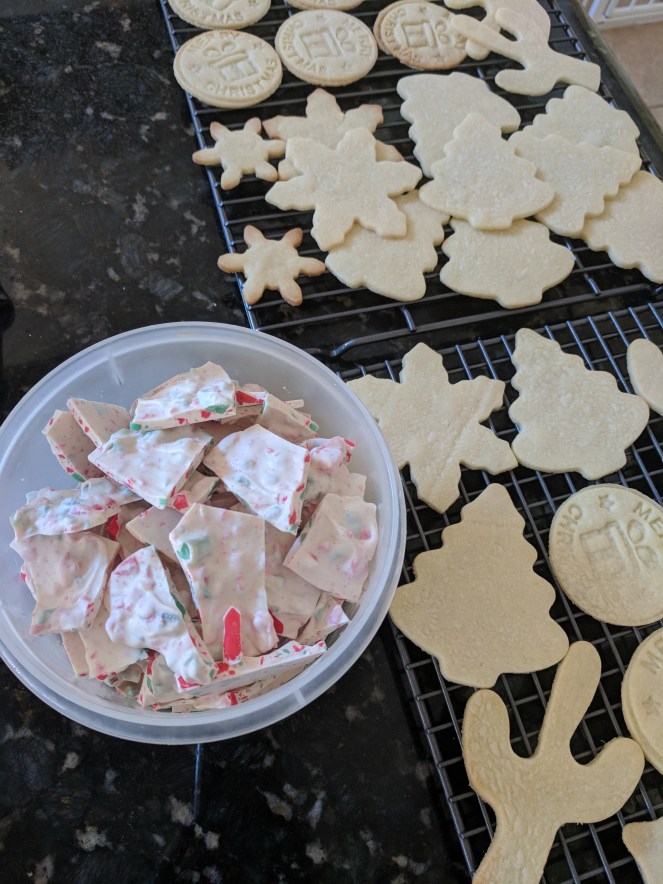 IMG_20171213_133546 - Copy